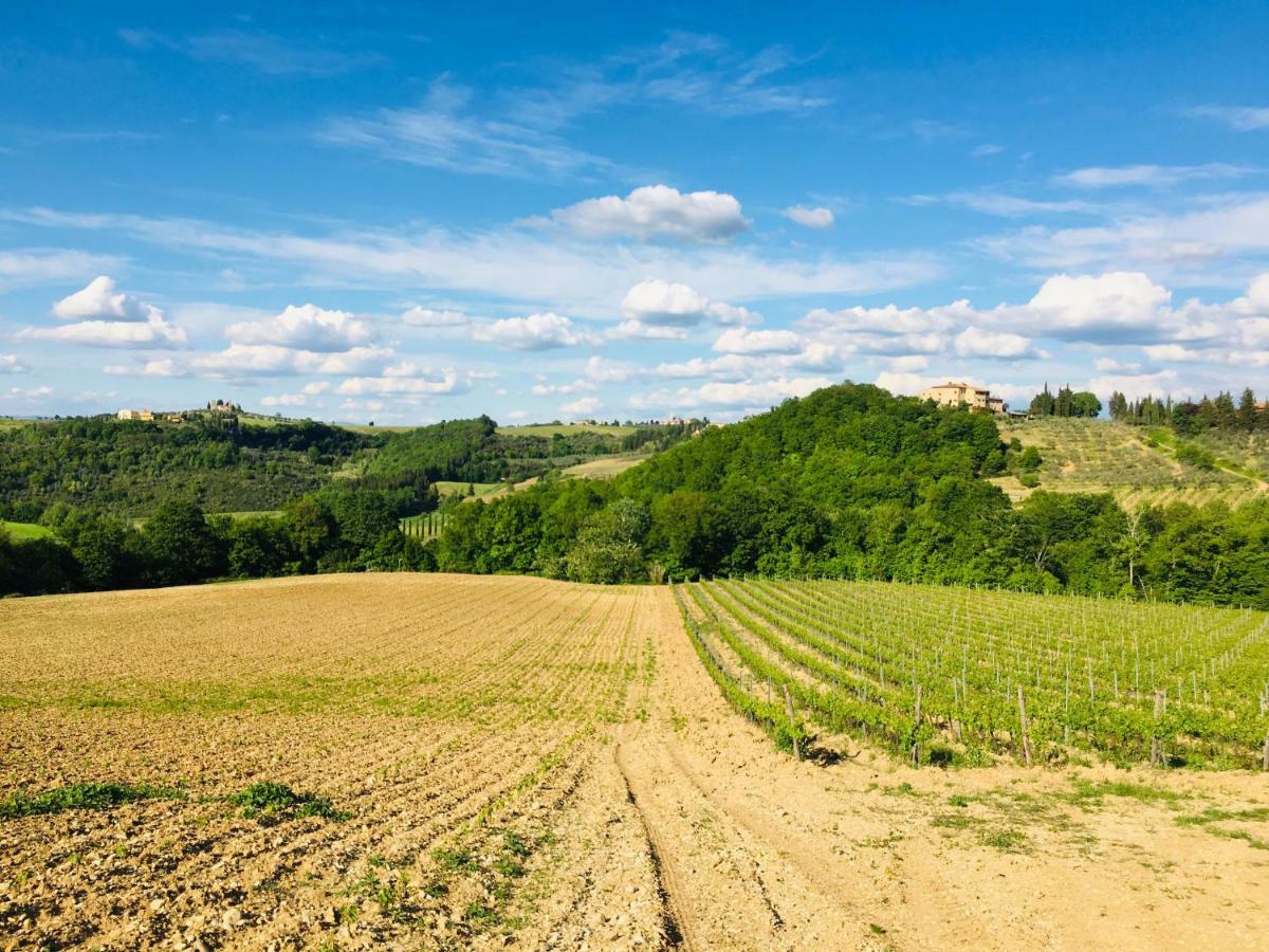 Agriturismo La Valle A Polvereto Tavarnelle Val di Pesa Exterior photo